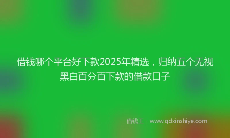 借钱哪个平台好下款2025年精选，归纳五个无视黑白百分百下款的借款口子