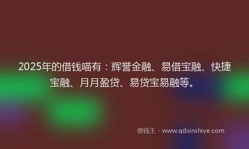2025年的借钱喵有：辉誉金融、易借宝融、快捷宝融、月月盈贷、易贷宝易融等。