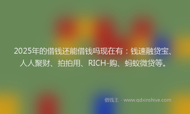 2025年的借钱还能借钱吗现在有：钱速融贷宝、人人聚财、拍拍用、RICH-购、蚂蚁微贷等。