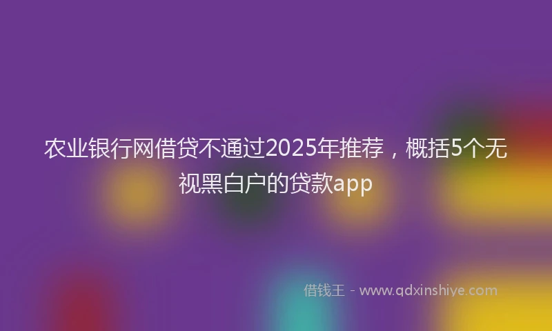 农业银行网借贷不通过2025年推荐，概括5个无视黑白户的贷款app