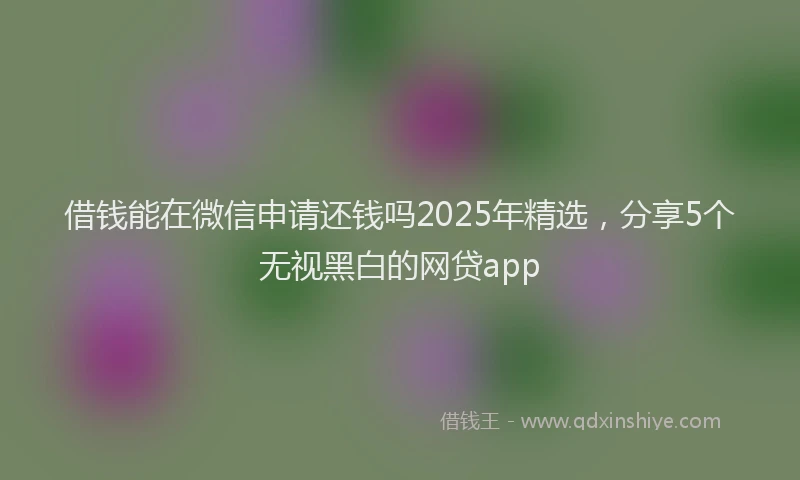 借钱能在微信申请还钱吗2025年精选，分享5个无视黑白的网贷app