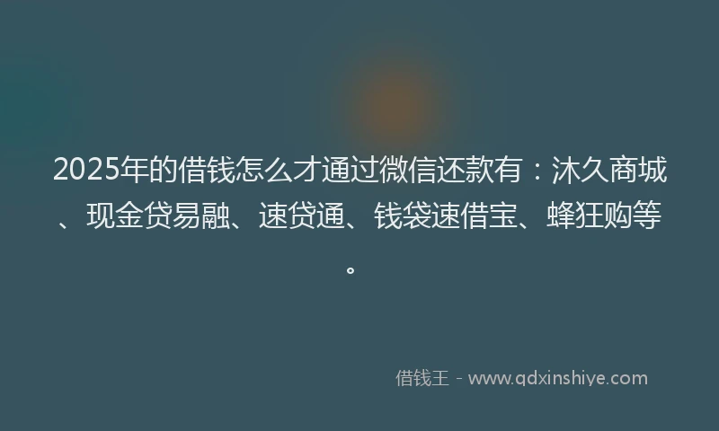 2025年的借钱怎么才通过微信还款有：沐久商城、现金贷易融、速贷通、钱袋速借宝、蜂狂购等。