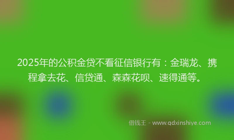 2025年的公积金贷不看征信银行有：金瑞龙、携程拿去花、信贷通、森森花呗、速得通等。