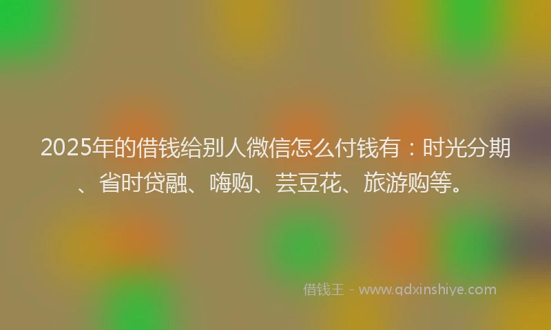 2025年的借钱给别人微信怎么付钱有：时光分期、省时贷融、嗨购、芸豆花、旅游购等。