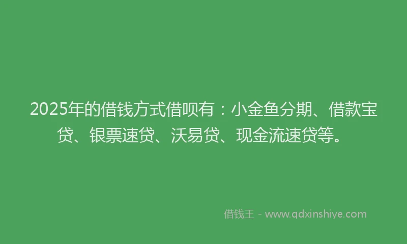 2025年的借钱方式借呗有：小金鱼分期、借款宝贷、银票速贷、沃易贷、现金流速贷等。