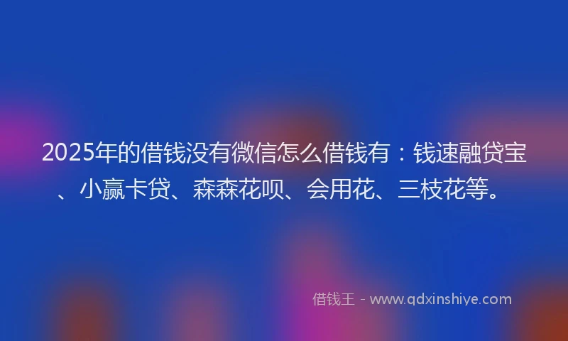 2025年的借钱没有微信怎么借钱有：钱速融贷宝、小赢卡贷、森森花呗、会用花、三枝花等。