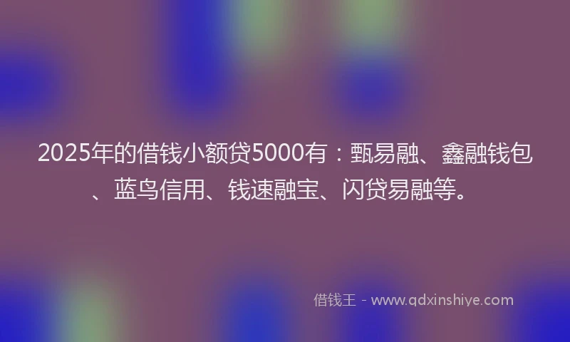 2025年的借钱小额贷5000有：甄易融、鑫融钱包、蓝鸟信用、钱速融宝、闪贷易融等。