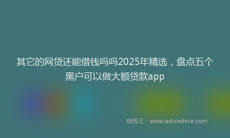 其它的网贷还能借钱吗吗2025年精选，盘点五个黑户可以做大额贷款app