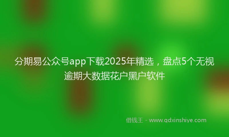 分期易公众号app下载2025年精选，盘点5个无视逾期大数据花户黑户软件