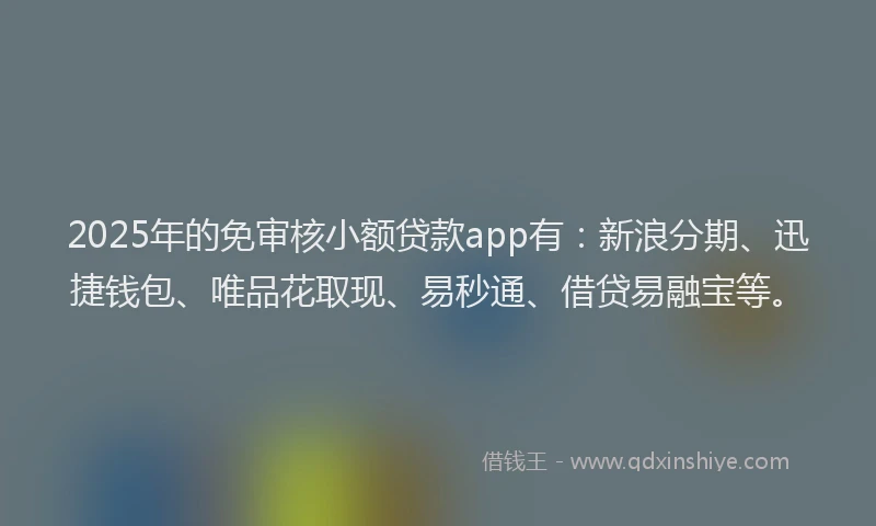 2025年的免审核小额贷款app有：新浪分期、迅捷钱包、唯品花取现、易秒通、借贷易融宝等。