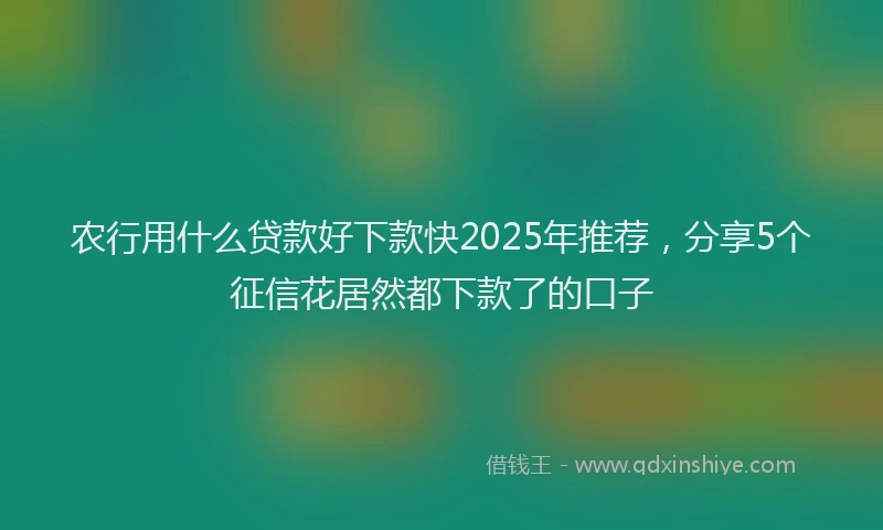 农行用什么贷款好下款快2025年推荐，分享5个征信花居然都下款了的口子