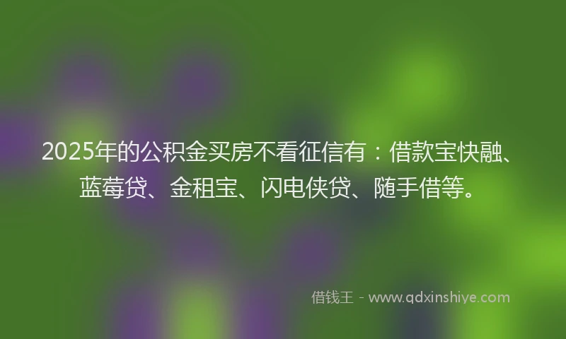2025年的公积金买房不看征信有：借款宝快融、蓝莓贷、金租宝、闪电侠贷、随手借等。