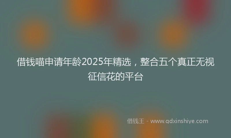 借钱喵申请年龄2025年精选，整合五个真正无视征信花的平台