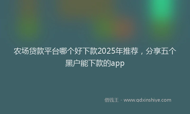 农场贷款平台哪个好下款2025年推荐，分享五个黑户能下款的app