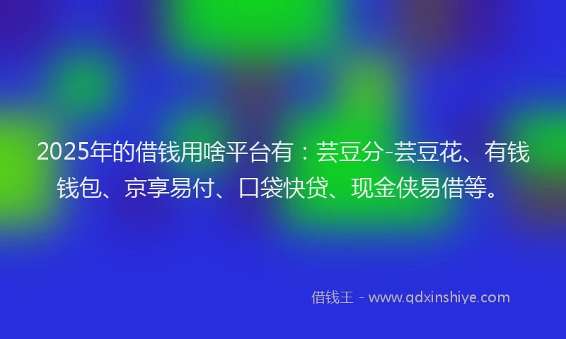 2025年的借钱用啥平台有：芸豆分-芸豆花、有钱钱包、京享易付、口袋快贷、现金侠易借等。