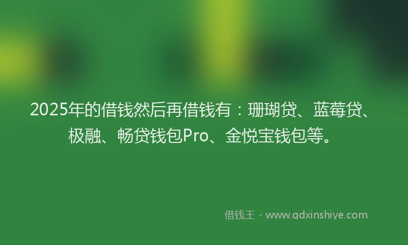 2025年的借钱然后再借钱有：珊瑚贷、蓝莓贷、极融、畅贷钱包Pro、金悦宝钱包等。