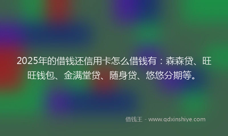 2025年的借钱还信用卡怎么借钱有：森森贷、旺旺钱包、金满堂贷、随身贷、悠悠分期等。
