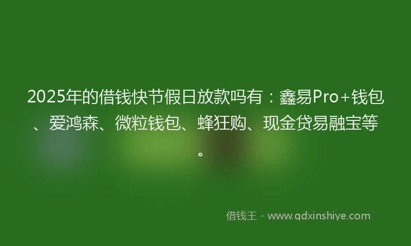 2025年的借钱快节假日放款吗有：鑫易Pro+钱包、爱鸿森、微粒钱包、蜂狂购、现金贷易融宝等。