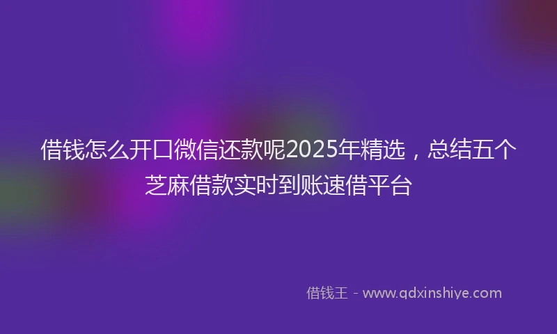 借钱怎么开口微信还款呢2025年精选，总结五个芝麻借款实时到账速借平台