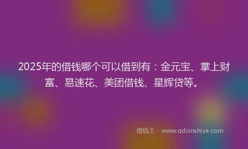 2025年的借钱哪个可以借到有：金元宝、掌上财富、易速花、美团借钱、星辉贷等。