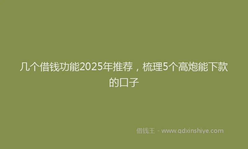 几个借钱功能2025年推荐，梳理5个高炮能下款的口子