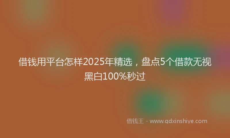 借钱用平台怎样2025年精选，盘点5个借款无视黑白100%秒过