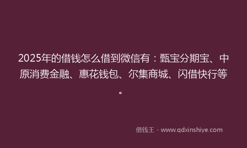 2025年的借钱怎么借到微信有：甄宝分期宝、中原消费金融、惠花钱包、尔集商城、闪借快行等。