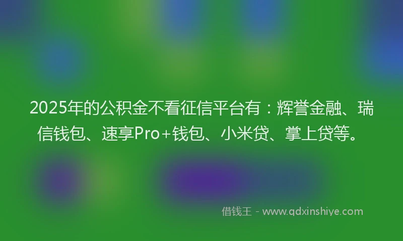 2025年的公积金不看征信平台有：辉誉金融、瑞信钱包、速享Pro+钱包、小米贷、掌上贷等。