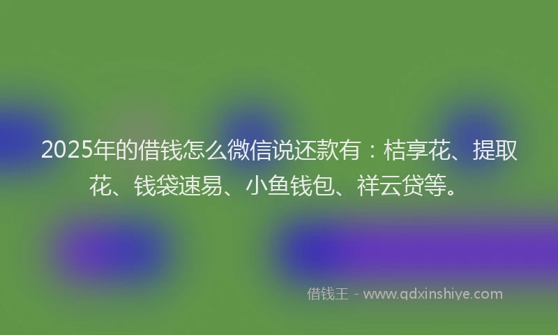 2025年的借钱怎么微信说还款有：桔享花、提取花、钱袋速易、小鱼钱包、祥云贷等。