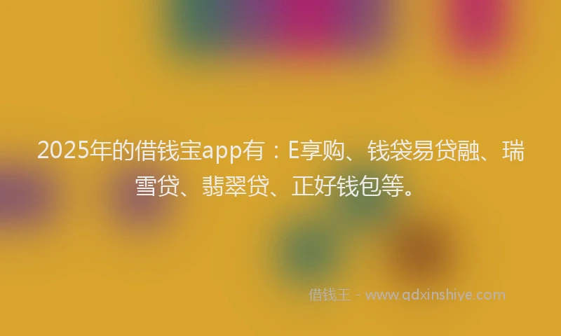 2025年的借钱宝app有：E享购、钱袋易贷融、瑞雪贷、翡翠贷、正好钱包等。