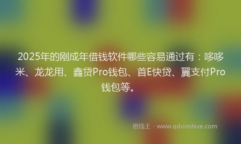 2025年的刚成年借钱软件哪些容易通过有：哆哆米、龙龙用、鑫贷Pro钱包、首E快贷、翼支付Pro钱包等。