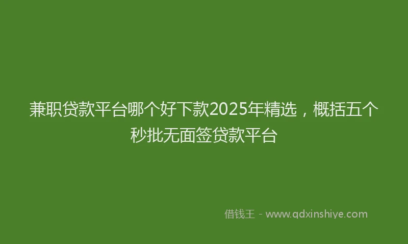 兼职贷款平台哪个好下款2025年精选，概括五个秒批无面签贷款平台