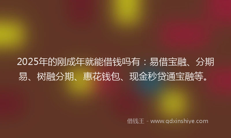 2025年的刚成年就能借钱吗有：易借宝融、分期易、树融分期、惠花钱包、现金秒贷通宝融等。