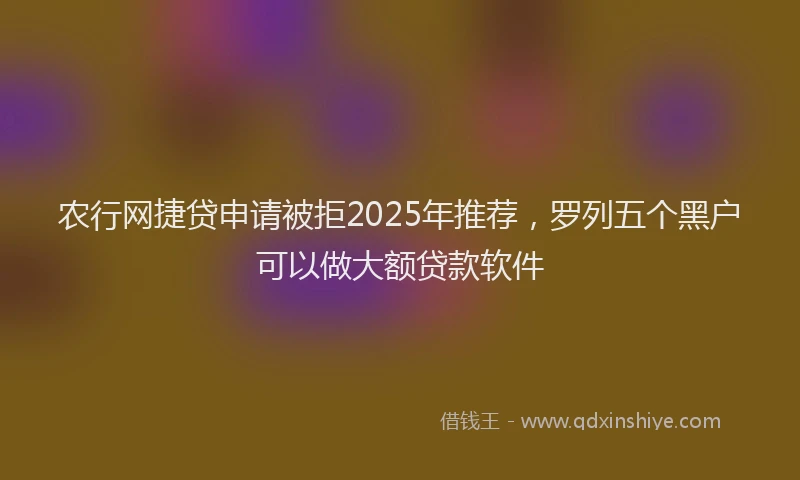 农行网捷贷申请被拒2025年推荐，罗列五个黑户可以做大额贷款软件