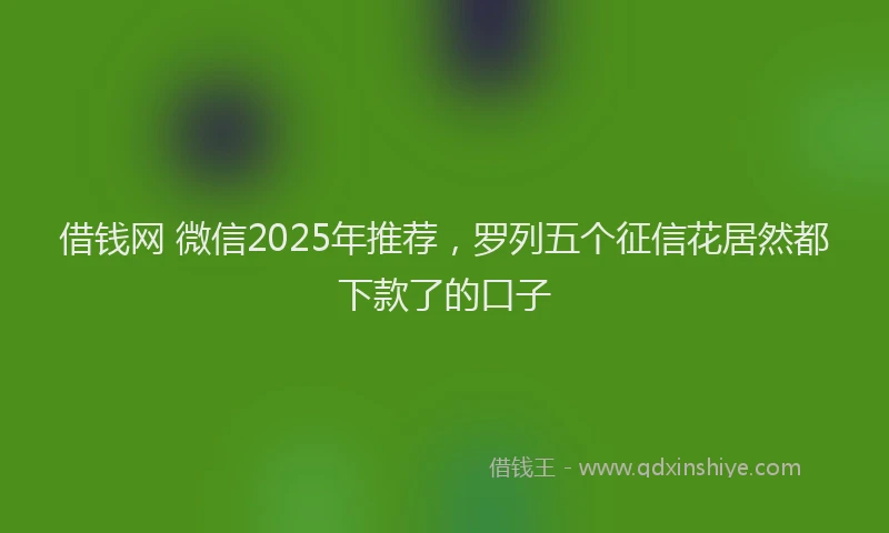 借钱网 微信2025年推荐，罗列五个征信花居然都下款了的口子