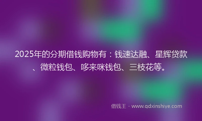2025年的分期借钱购物有：钱速达融、星辉贷款、微粒钱包、哆来咪钱包、三枝花等。