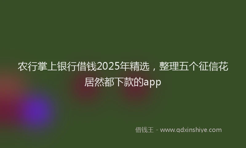 农行掌上银行借钱2025年精选，整理五个征信花居然都下款的app