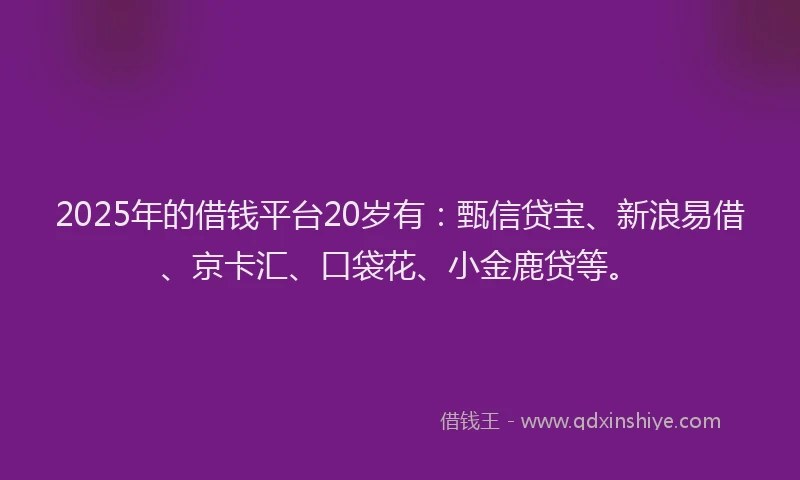 2025年的借钱平台20岁有：甄信贷宝、新浪易借、京卡汇、口袋花、小金鹿贷等。