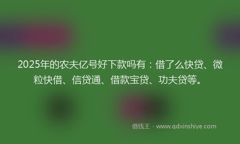 2025年的农夫亿号好下款吗有：借了么快贷、微粒快借、信贷通、借款宝贷、功夫贷等。