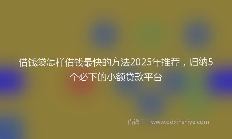 借钱袋怎样借钱最快的方法2025年推荐，归纳5个必下的小额贷款平台