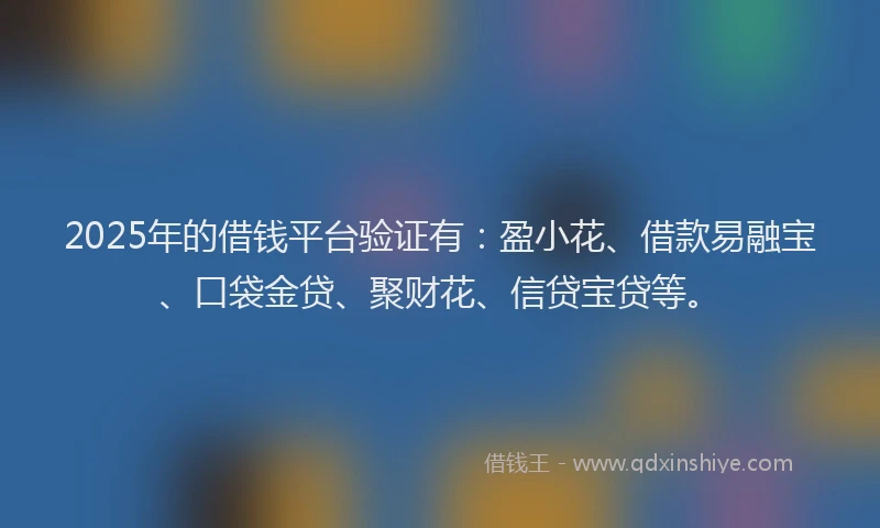 2025年的借钱平台验证有：盈小花、借款易融宝、口袋金贷、聚财花、信贷宝贷等。