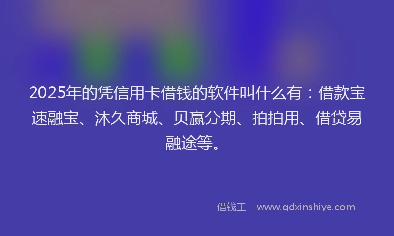2025年的凭信用卡借钱的软件叫什么有：借款宝速融宝、沐久商城、贝赢分期、拍拍用、借贷易融途等。