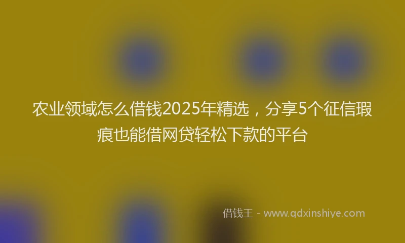 农业领域怎么借钱2025年精选，分享5个征信瑕疵也能借网贷轻松下款的平台