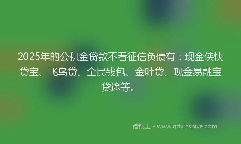 2025年的公积金贷款不看征信负债有：现金侠快贷宝、飞鸟贷、全民钱包、金叶贷、现金易融宝贷途等。