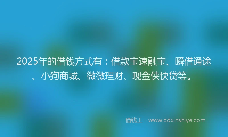 2025年的借钱方式有：借款宝速融宝、瞬借通途、小狗商城、微微理财、现金侠快贷等。