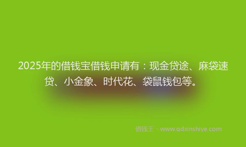2025年的借钱宝借钱申请有：现金贷途、麻袋速贷、小金象、时代花、袋鼠钱包等。