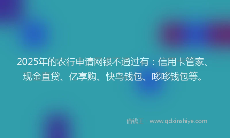 2025年的农行申请网银不通过有：信用卡管家、现金直贷、亿享购、快鸟钱包、哆哆钱包等。