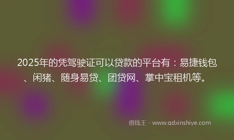 2025年的凭驾驶证可以贷款的平台有：易捷钱包、闲猪、随身易贷、团贷网、掌中宝租机等。