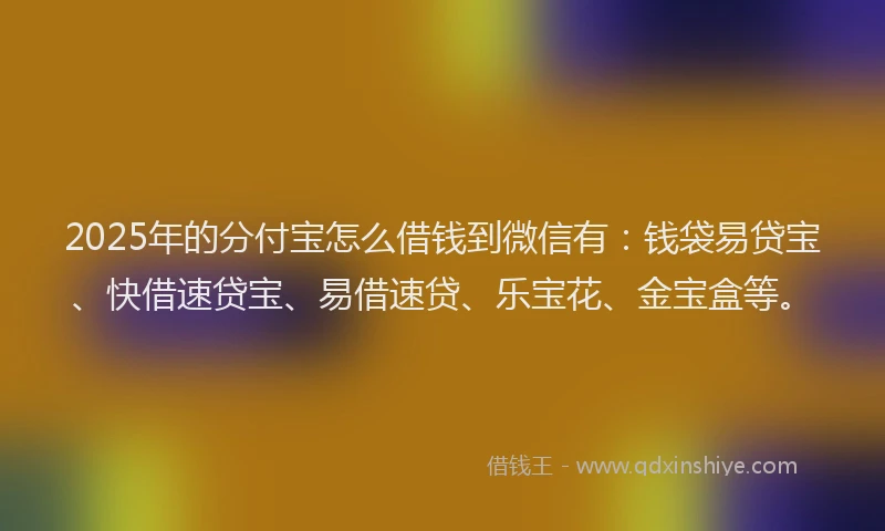 2025年的分付宝怎么借钱到微信有：钱袋易贷宝、快借速贷宝、易借速贷、乐宝花、金宝盒等。