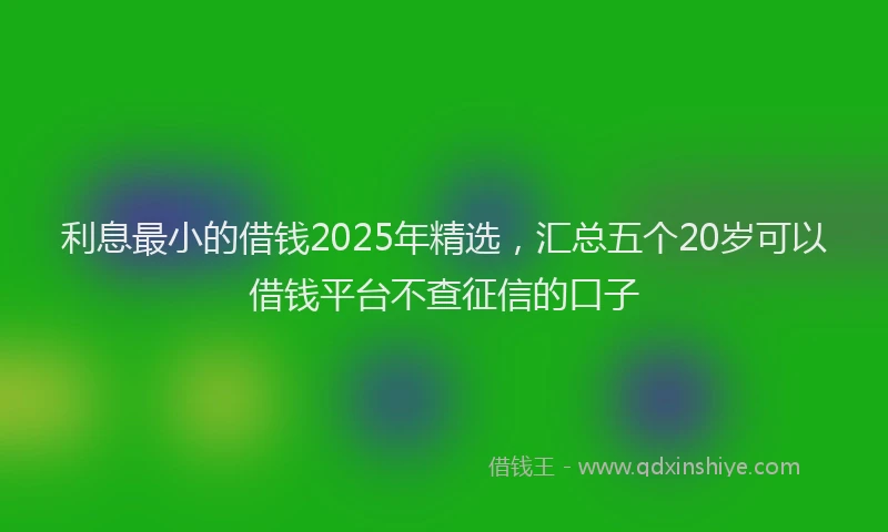 利息最小的借钱2025年精选，汇总五个20岁可以借钱平台不查征信的口子